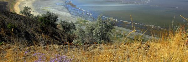 SpikeVee88 Profile Banner