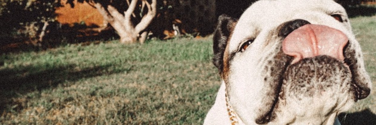 itsblak_e's profile banner image