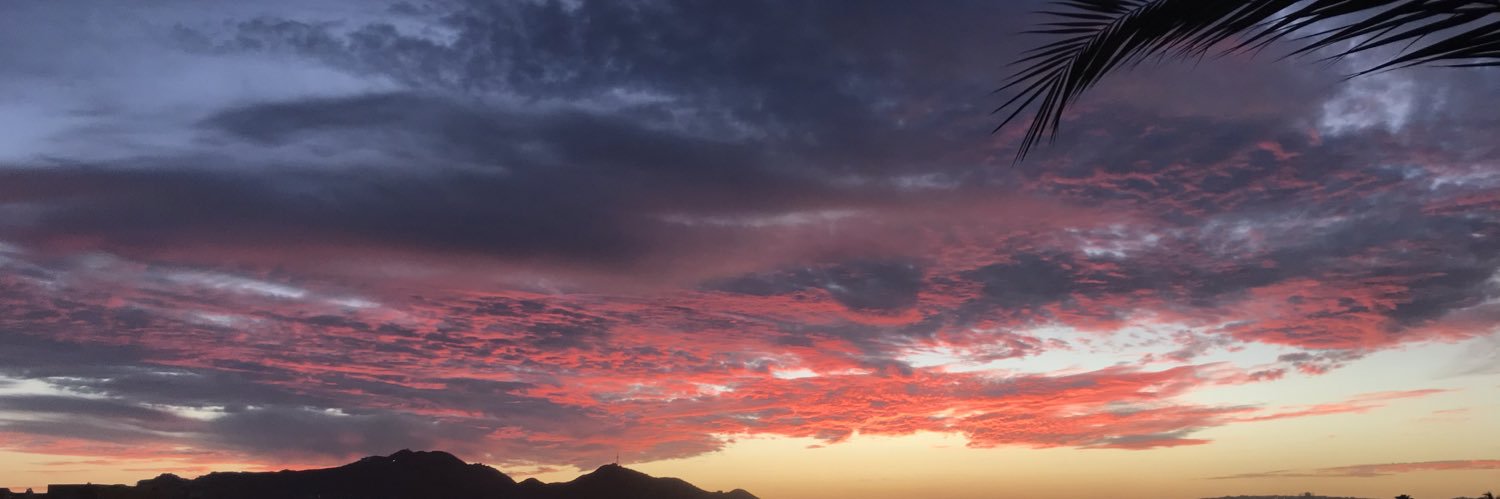 SydneyHilbrich's profile banner image