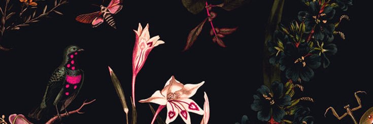 la_pamys's profile banner image