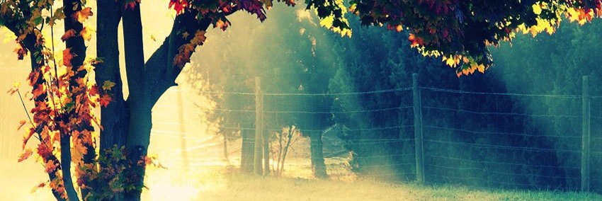 keithDelPilar's profile banner image