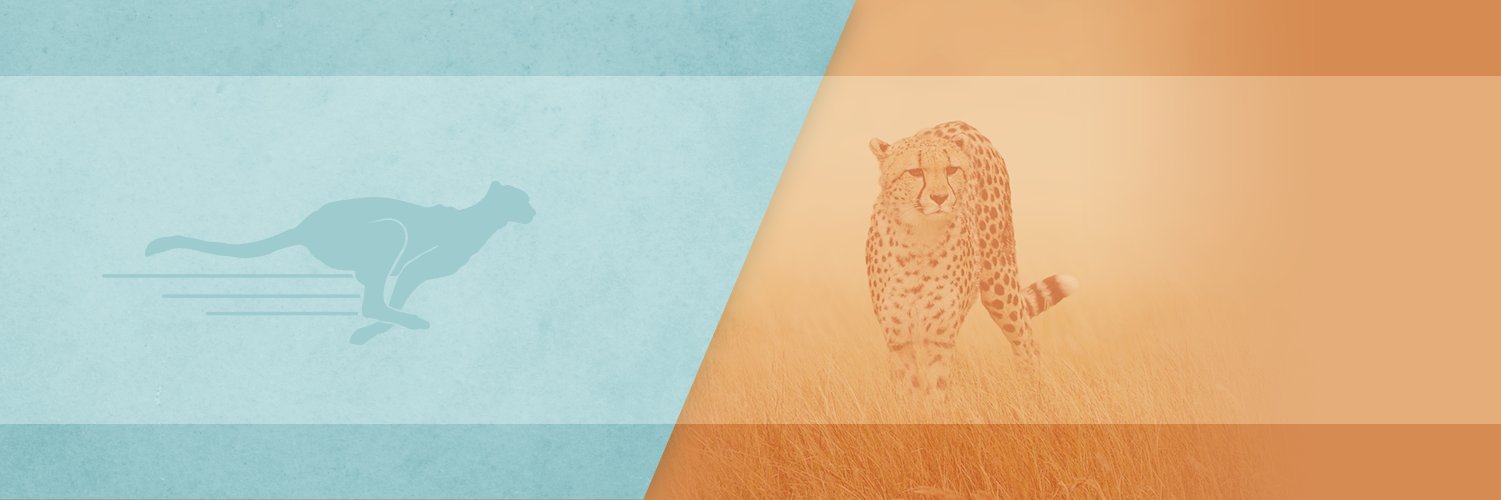 StrideSearch's profile banner image