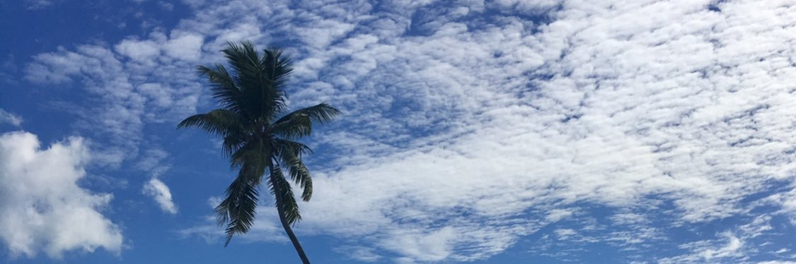 Figer_'s profile banner image