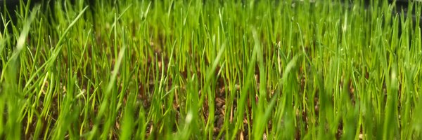 OSU_ATI_Turf Profile Banner