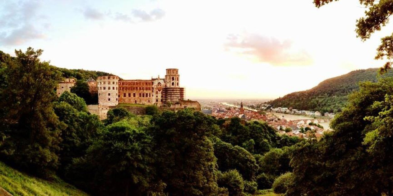 Ravi R. Bhatt banner