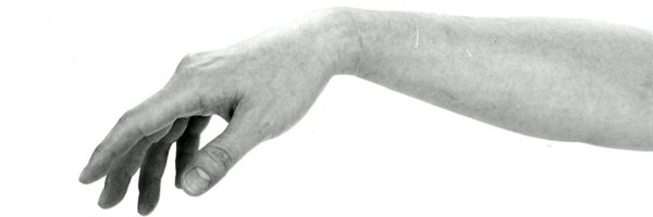 large_insect Profile Banner