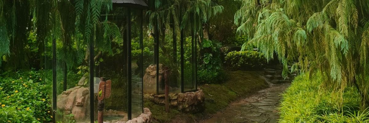 katarafika's profile banner image