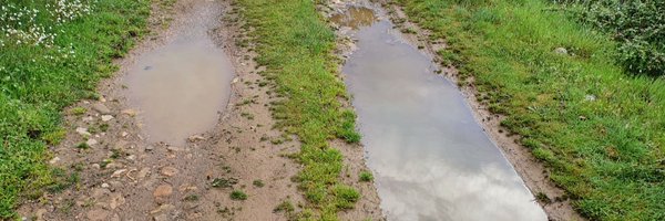 IP_017 Profile Banner