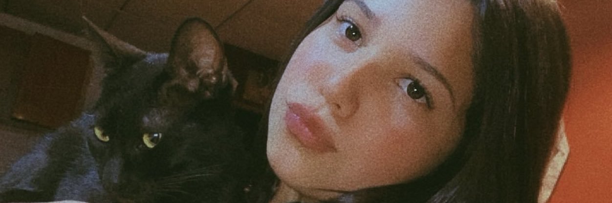 Araya_Bri's profile banner image