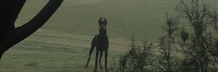 KA66l's profile banner image