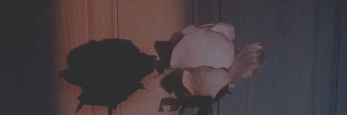 98_Vbi's profile banner image