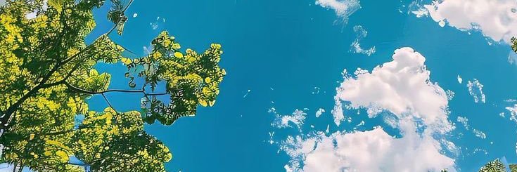 ledouix's profile banner image
