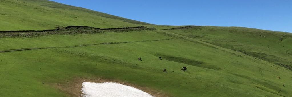 assahg's profile banner image