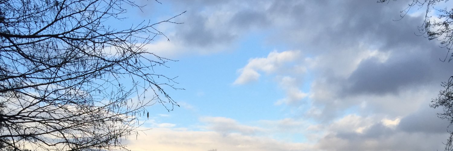 40weekfit's profile banner image
