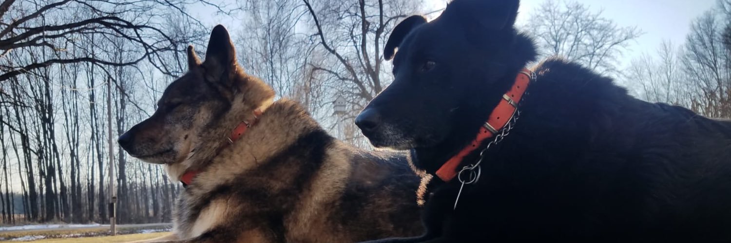 PLBorkholder's profile banner image