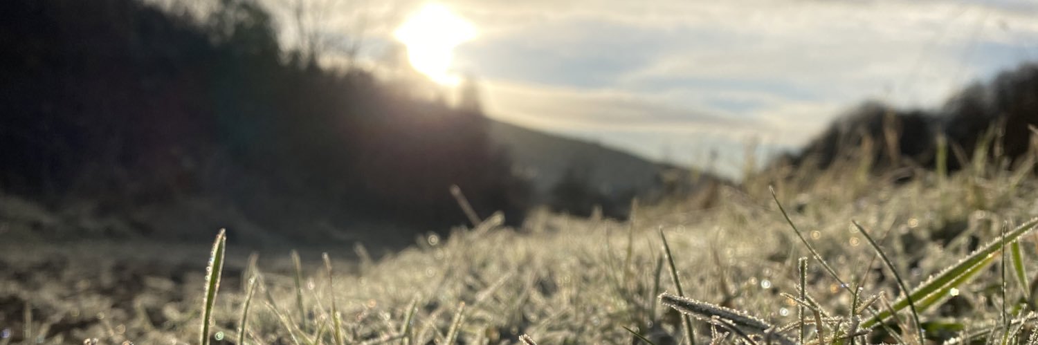 chloharr's profile banner image