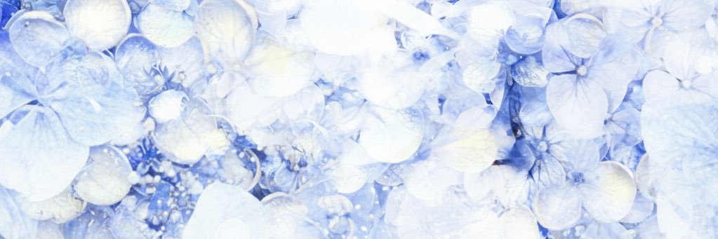 sucretic's profile banner image