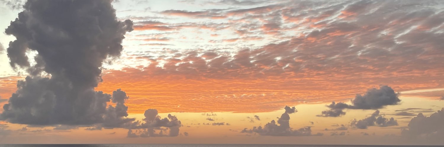 harliemurray_'s profile banner image