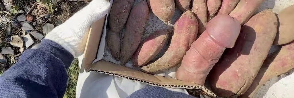 Père Patience banner