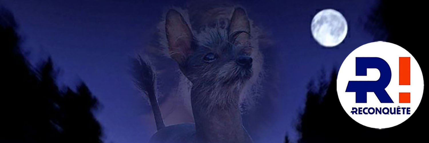 caval4283's profile banner image