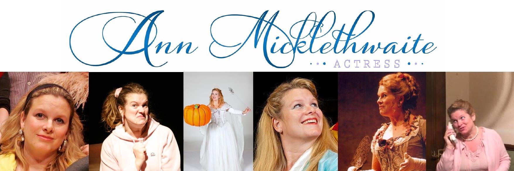 Ann Micklethwaite banner