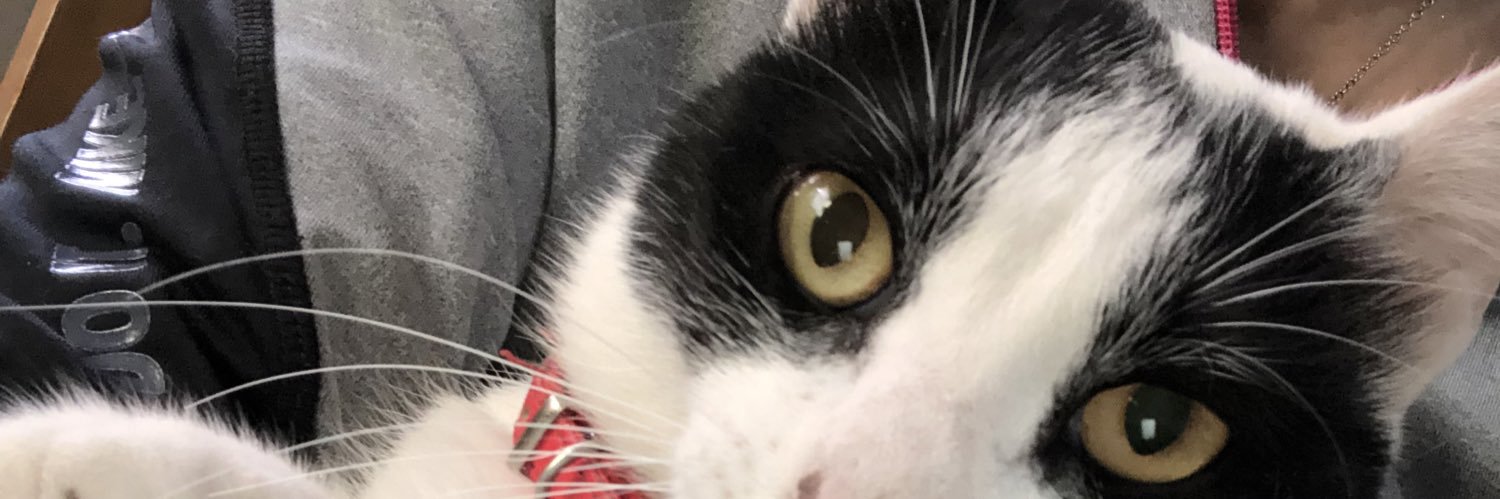 elisoler16's profile banner image