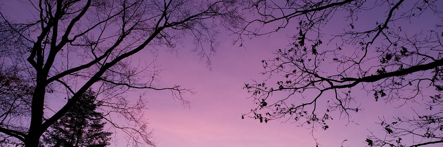 Marcia Earle banner
