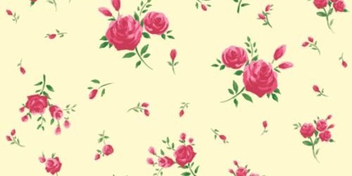 indaaahdwy's profile banner image