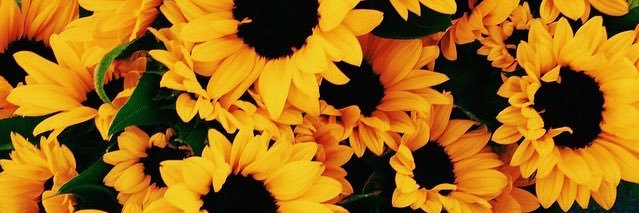 ___gem's profile banner image