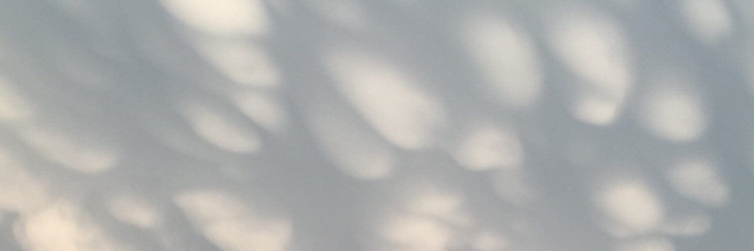 notsobosse's profile banner image