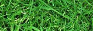 Nate_Andy22's profile banner image