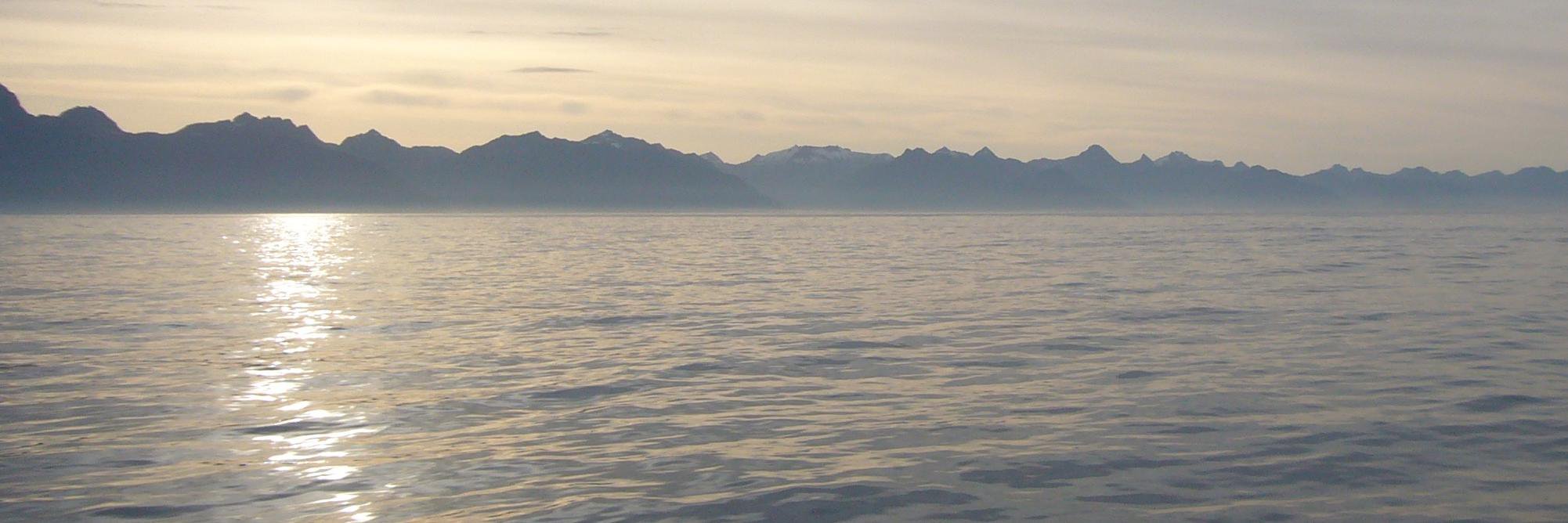 Rynearson Lab banner