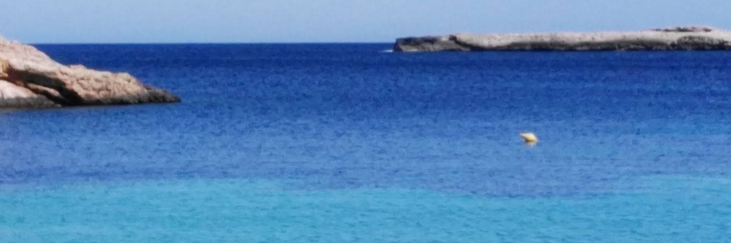 ZepolVilla's profile banner image