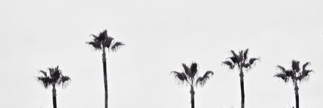 selinaykr's profile banner image