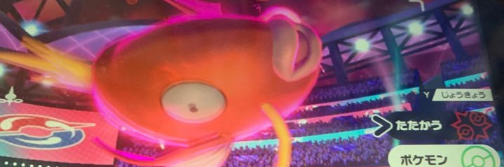 ヌベスコ人参 banner