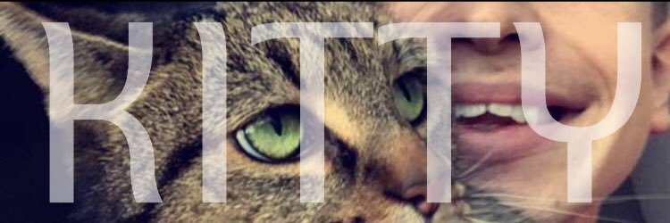 joeskittyy's profile banner image