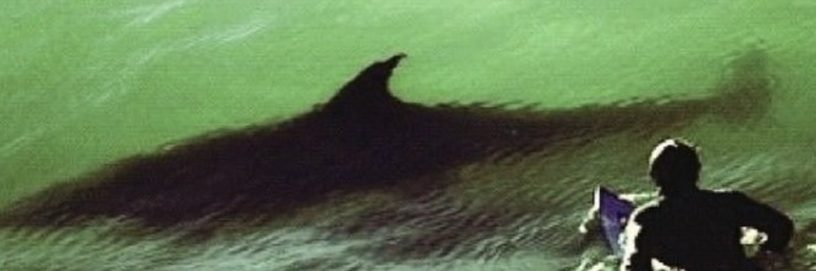 BIG NARCO🪬 banner