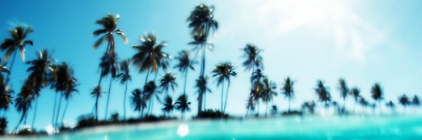 syukronm70's profile banner image