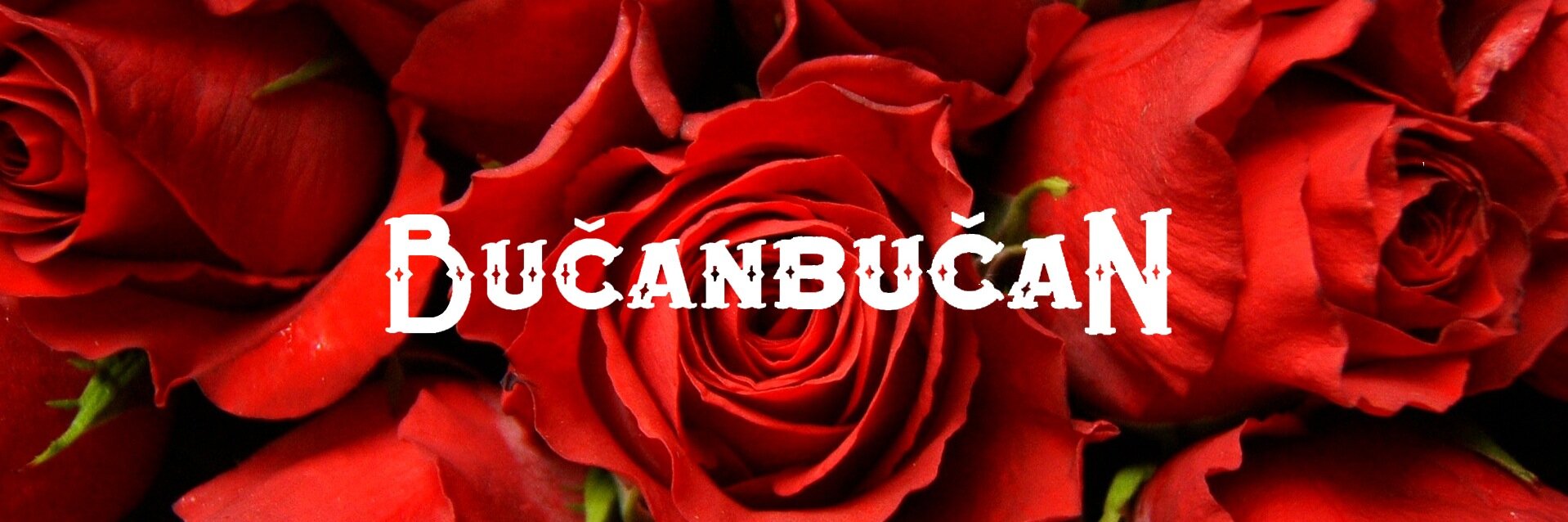 bucanbucan's profile banner image
