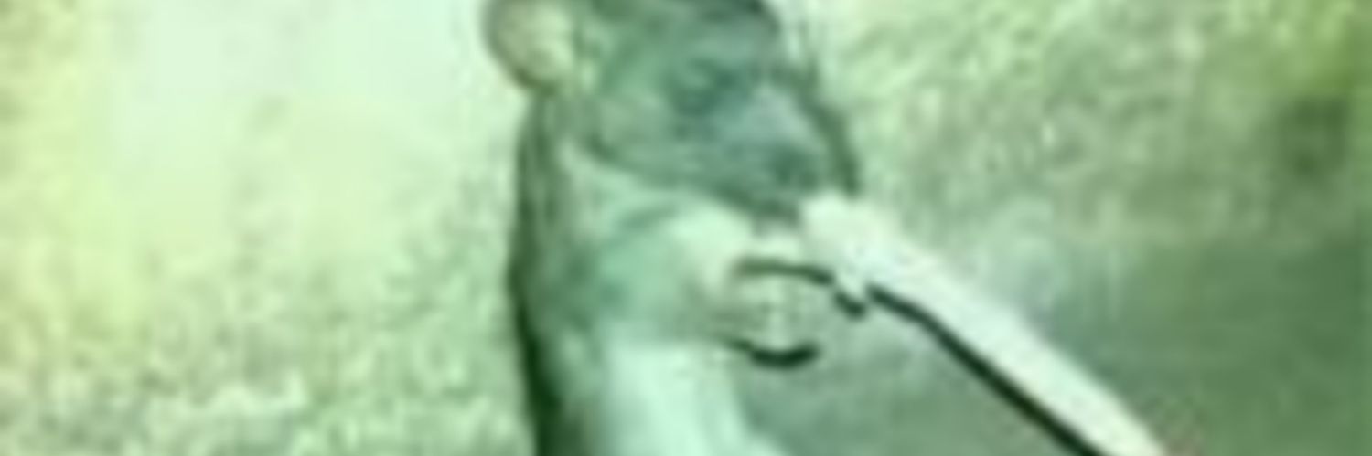 megara_11's profile banner image