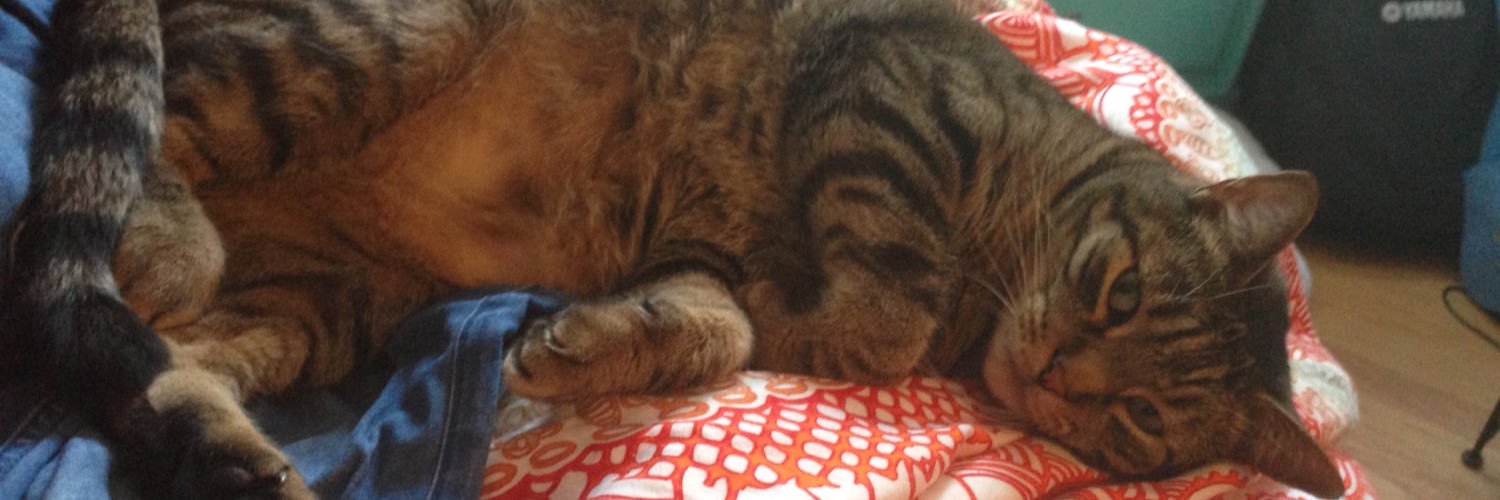 wheresbeans's profile banner image