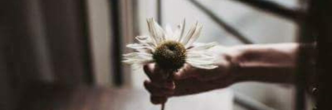 mariapauder's profile banner image