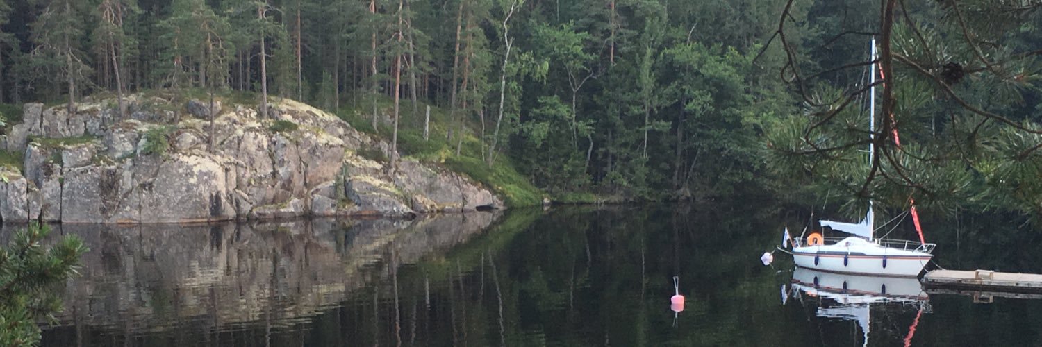 ari_selander's profile banner image