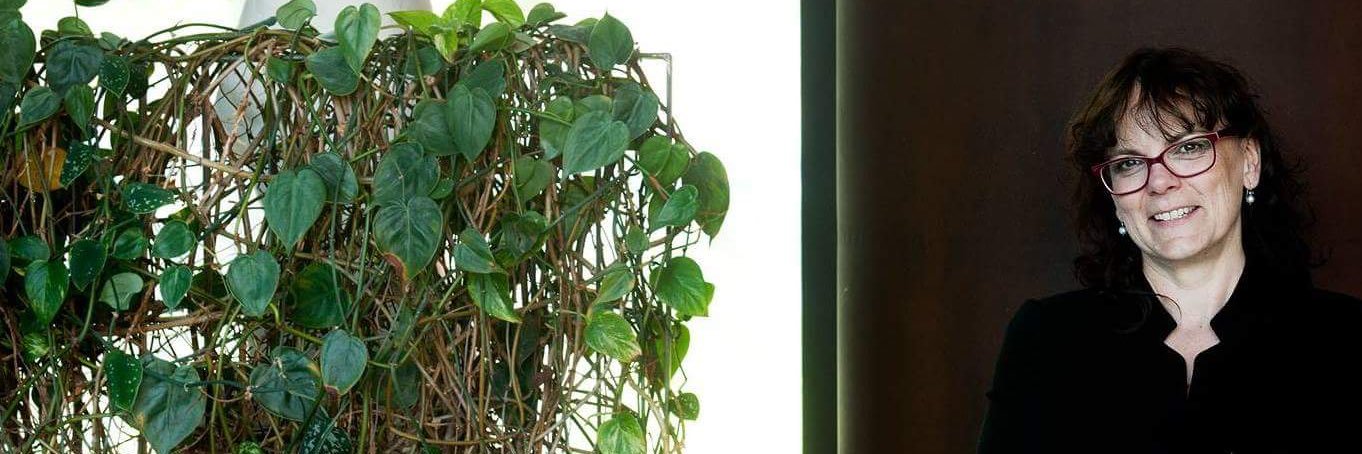 Lemmergaard_'s profile banner image