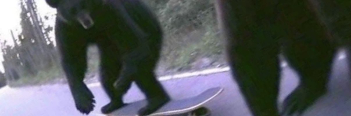CottonBobJones's profile banner image