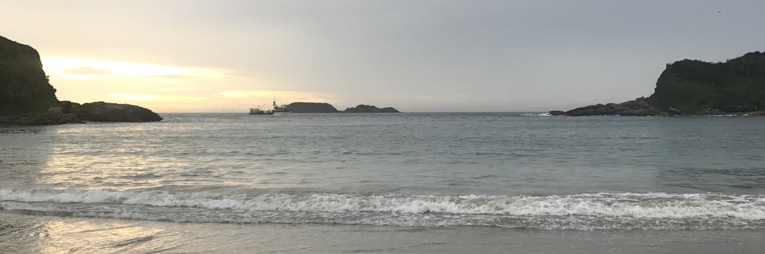 crfalann's profile banner image
