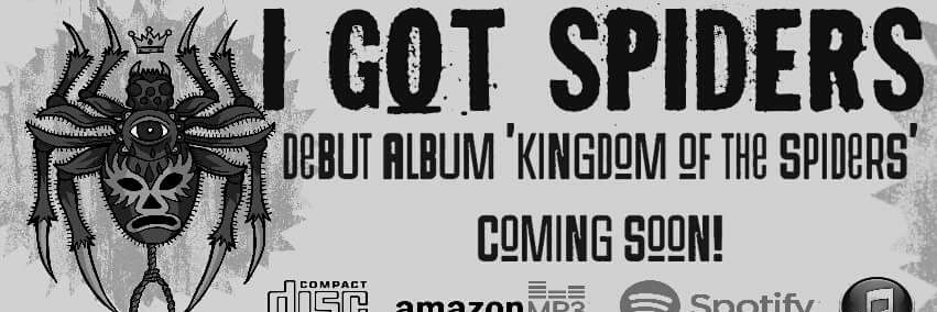 I Got Spiders banner