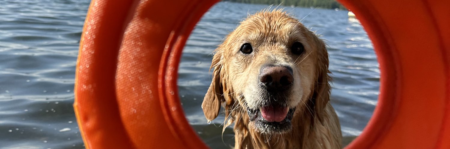 BriiiStanley's profile banner image