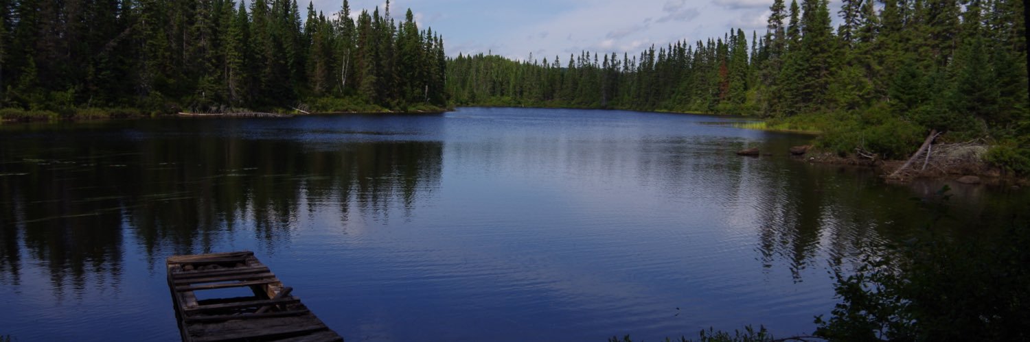 Anne_wh's profile banner image