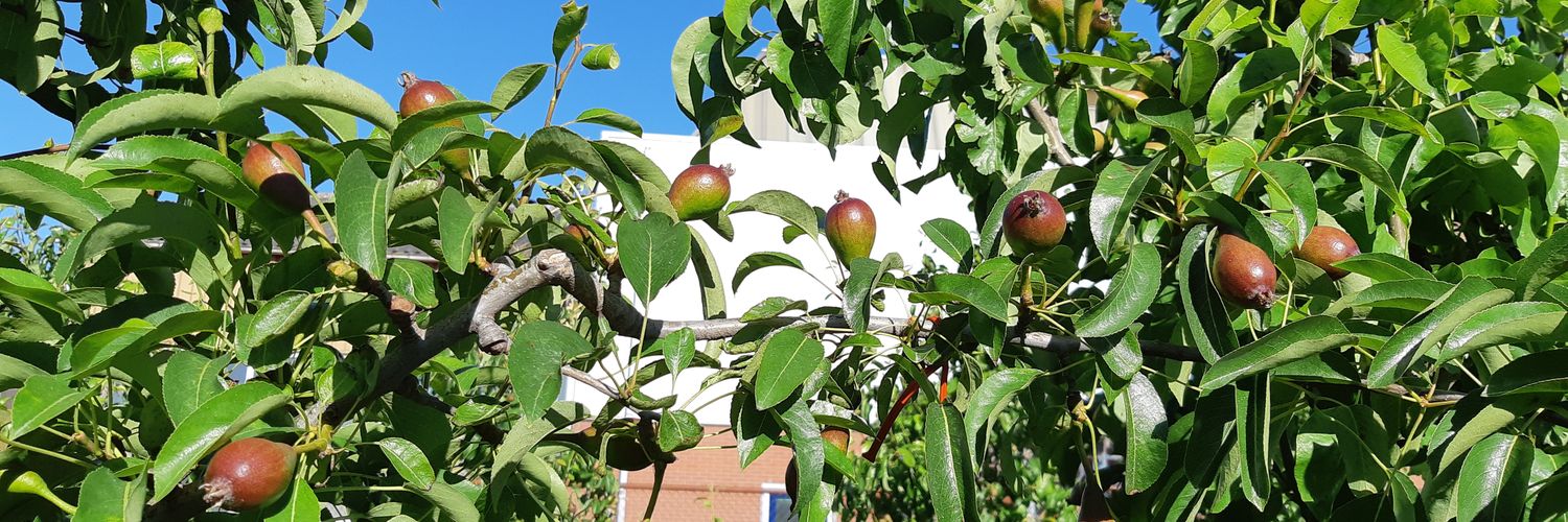 David van de Graaf banner